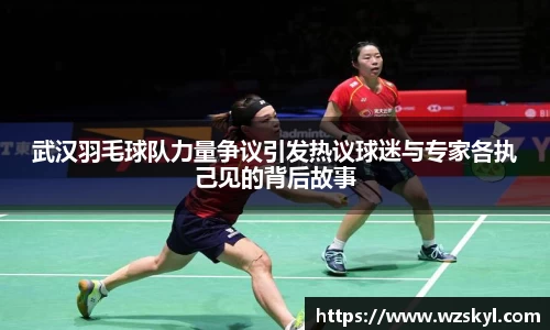 武汉羽毛球队力量争议引发热议球迷与专家各执己见的背后故事